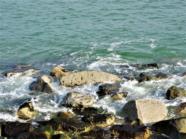 istock Rocky seashore at Oarai, Ibaraki, Japan. January 1198898865