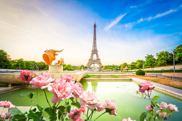 istock eiffel tour and from Trocadero, Paris 1198898891