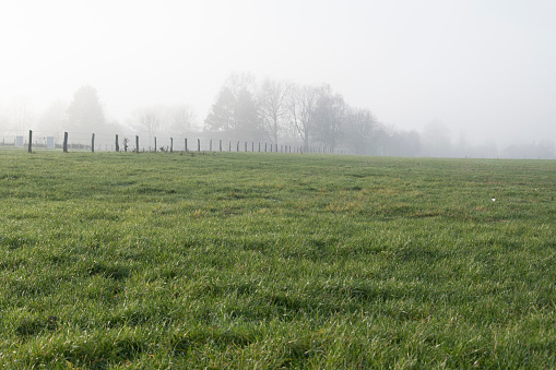 Fog over meadows and fields on the outskirts of Bünde in East Westphalia