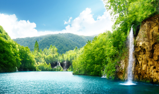 Amazing pond with small waterfalls surrounded by hanging plants and trees on sunny day with blue sky, long exposure shot