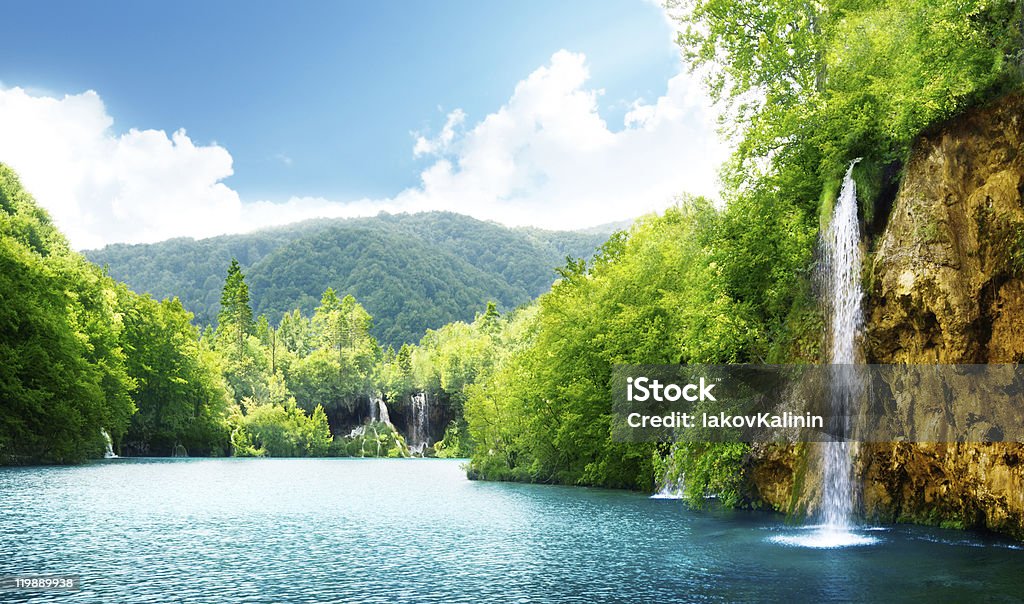 waterfall in deep forest  Waterfall Stock Photo