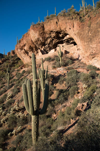 istock Tonto National Monument Ruins and Saguaro Cactus 1198899586