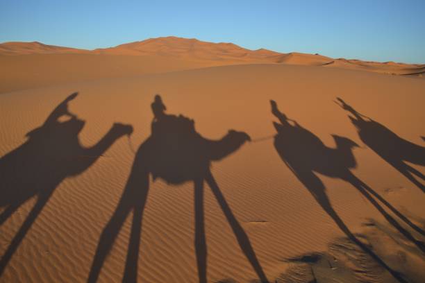 istock Sunset in Sahara desert 1198899677