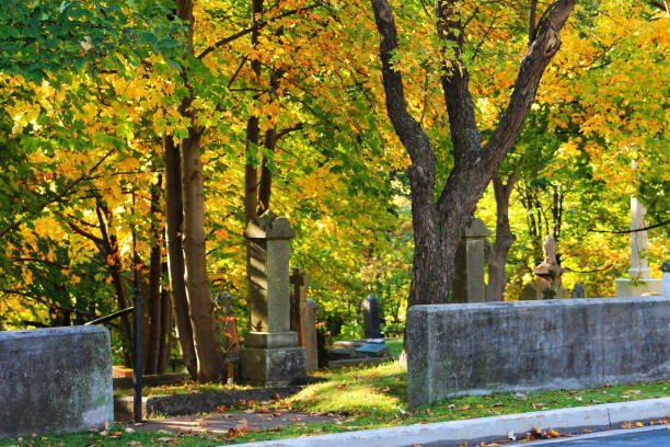 istock Cemetery in Autumn, St. John's Newfoundland, Canada. 1198903570