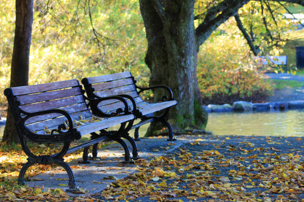 istock Park benches by river in all, St. John's, Newfoundland, Canada. 1198903652