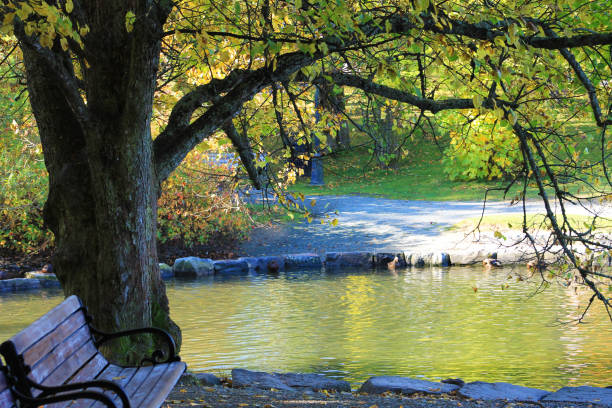 istock Park benches by river in all, St. John's, Newfoundland, Canada. 1198903654