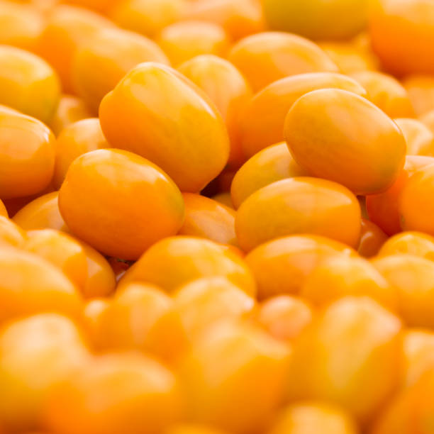 Orange Grape Tomatoes Background Orange grape tomatoes Full frame. grape tomato stock pictures, royalty-free photos & images