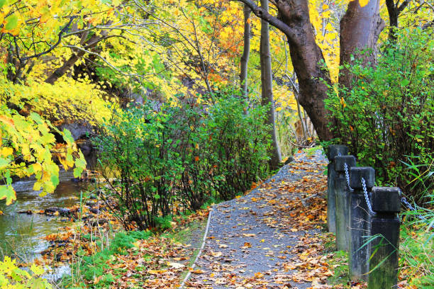 istock Walking trail along a riverbank, autumn. 1198903804