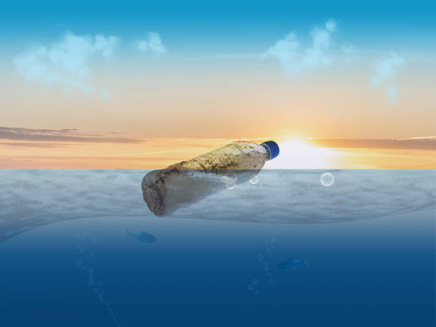 istock Plastic bottle floats in the sea 1198903834