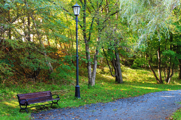 istock Bench by a lamppost, in a park, autumn. 1198903844