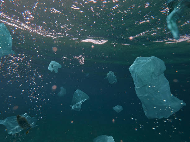 istock Toxic plastic waste floating underwater in the ocean 1198906219