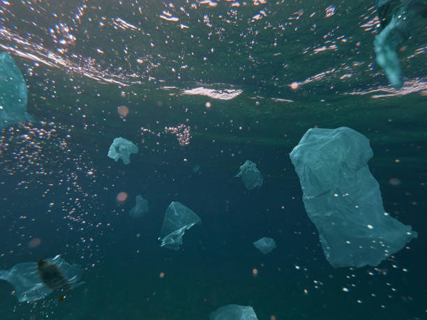 Toxic plastic waste floating underwater in the ocean stock photo