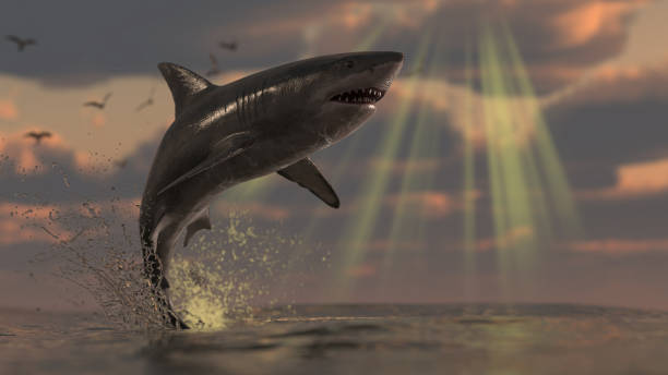 istock Gigantic shark breaching at sunrise 3d rendering 1198910104