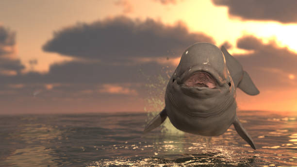 Front view of beluga whale smiling in air out jumped out of water 3d rendering Front view of beluga whale smiling in air out jumped out of water 3d rendering beluga whale jumping stock pictures, royalty-free photos & images