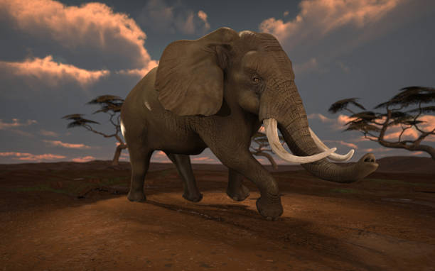 istock Big african elephant running on dirt between Acacia grassland trees 3d rendering 1198910121