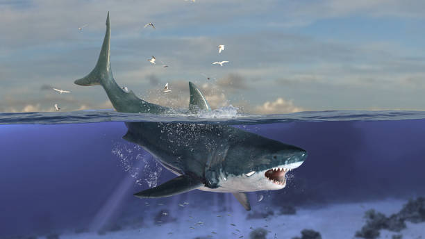 istock Great white shark leaping and diving while head is underwater diving in deep ocean 3d rendering 1198910155