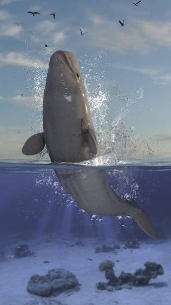 istock Leap and jump over waterline from beluga whale in half underwater half sky scene 3d rendering 1198910157