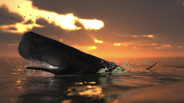 istock Cachalot sperm whale is over the ocean enjoying the sunset view 3d rendering 1198910193