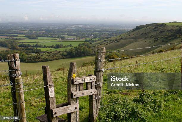 South Downs Near Brighton East Sussex England Stock Photo - Download Image Now - Agricultural Field, Agriculture, Brighton - England