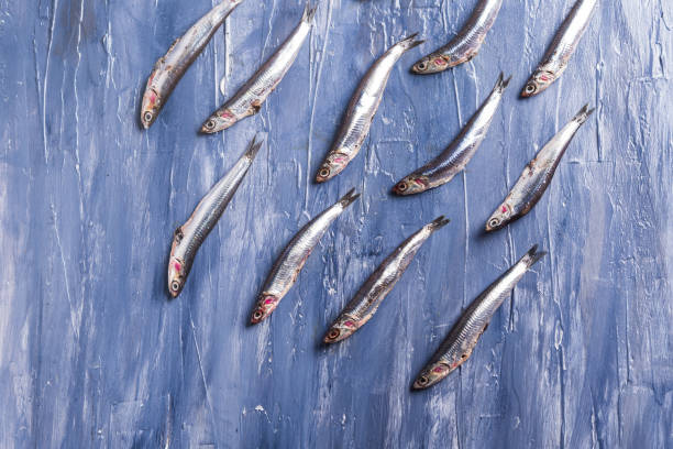 istock Fish pattern. Fresh anchovies on blue 1198926233