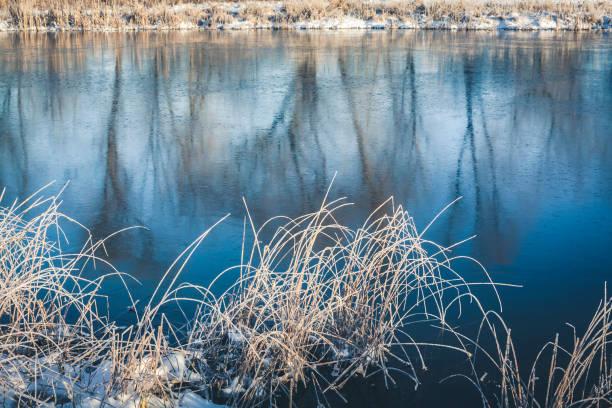istock Sun-lit frosty grasses along a blue pond. 1198928170