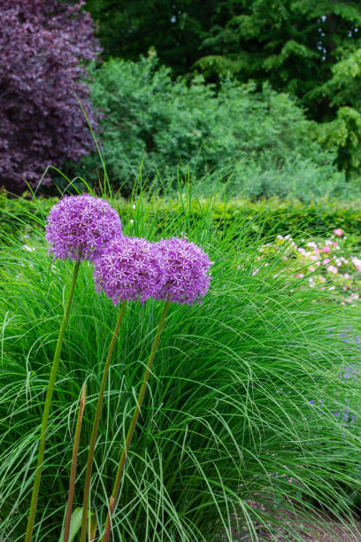 istock Walk through the Tiergarten park 1198929133