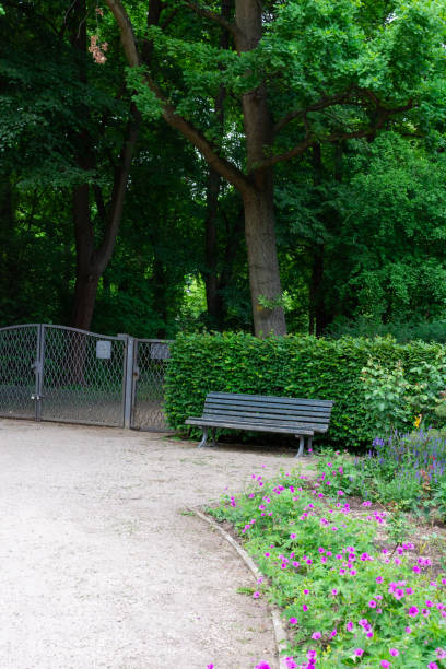istock Walk through the Tiergarten park 1198929134