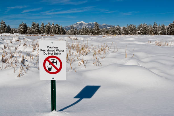 Kachina Wetlands in the Snow