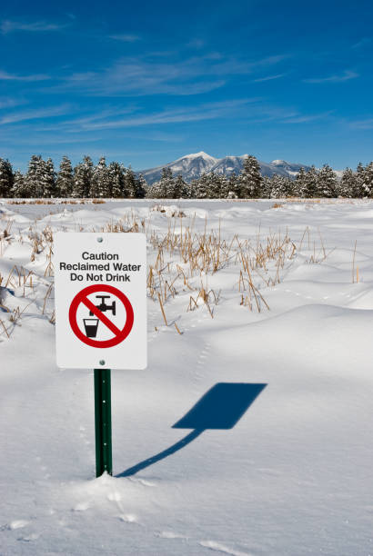 istock Kachina Wetlands in the Snow 1198933250