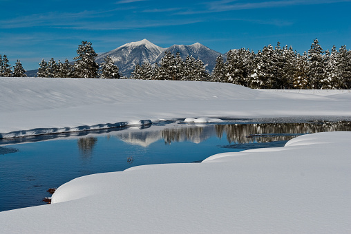 The San Francisco Peaks are the remnants of an ancient volcano that erupted millions of years ago, shattering a large mountain and leaving a large crater and surrounding peaks. The tallest of these are Humphreys at 12,637 feet and Agassiz at 12,356 feet.  This winter scene of the snow-capped peaks was photographed from Kachina Wetlands in Kachina Village, Arizona, USA.