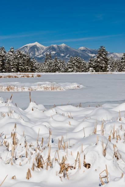 istock San Francisco Peaks Winter Scene 1198933325
