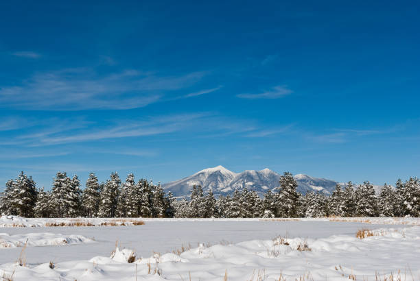 San Francisco Peaks Winter Scene The San Francisco Peaks are the remnants of an ancient volcano that erupted millions of years ago, shattering a large mountain and leaving a large crater and surrounding peaks. The tallest of these are Humphreys at 12,637 feet and Agassiz at 12,356 feet.  This winter scene of the snow-capped peaks was photographed from Kachina Wetlands in Kachina Village, Arizona, USA. jeff goulden flagstaff stock pictures, royalty-free photos & images