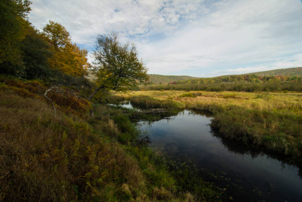 istock Autumn Morning, Canaan Valley State Park, West Virginia 1198933962
