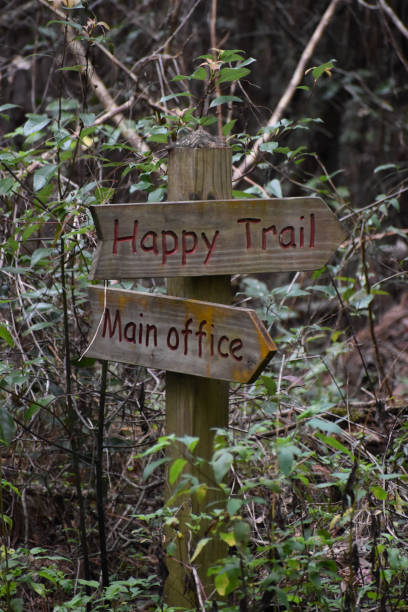 istock Wooden signpost on a nature trail 1198941125