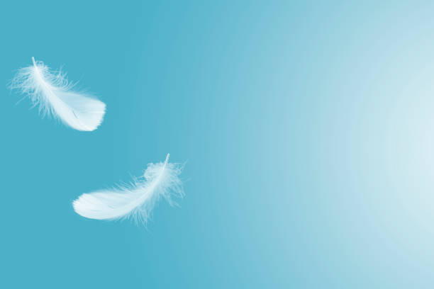 istock Soft white feather floating in the air 1198941175