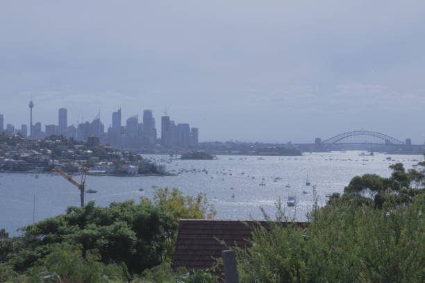 istock Sydney Harbour with leaves in foreground 1198944477
