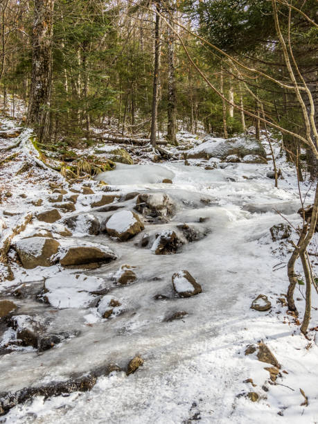 istock Icy hiking trail in Adirondack Mountains 1198945194