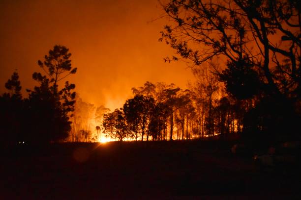 istock Fire Gregory River Bundaberg Queensland Australia 1198945480