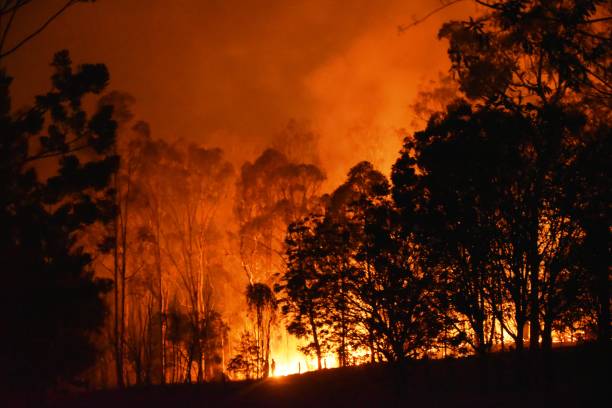 istock Fire Gregory River Bundaberg Queensland Australia 1198946056