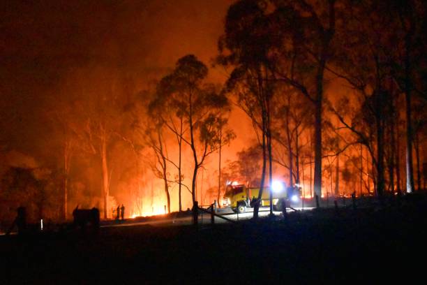 istock Fire Gregory River Bundaberg Queensland Australia 1198946124