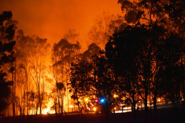 istock Fire Gregory River Bundaberg Queensland Australia 1198946159
