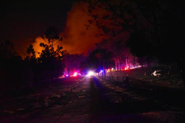 istock Fire Gregory River Bundaberg Queensland Australia 1198946220