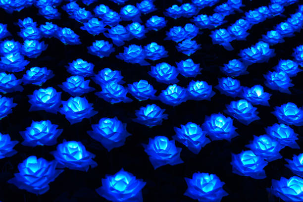 Flower lighting in garden lighting festival.