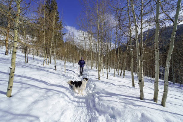 istock Man Snowshoeing in Scenic Mountain Environment 1198952953