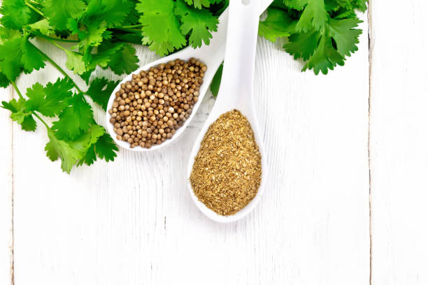 istock Coriander ground and seeds in two spoons on white board top 1198964791