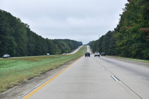 istock Highway in Georgia 1198967465