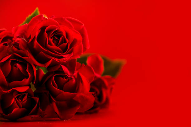 istock Valentine Card - Red Roses In Scarlet Romantic Background 1198969193