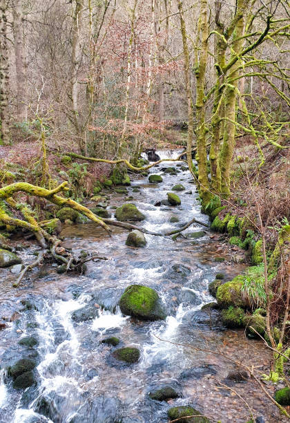 istock Dollar Glen Circuit in Scotland, UK 1198970839