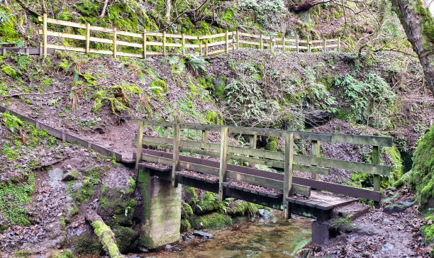 istock Dollar Glen Circuit in Scotland, UK 1198971638
