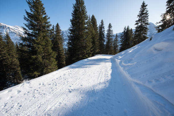istock european alps landscape in winter time. 1198972626
